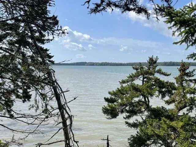 14 Heron Cove Road, Harrington, ME 04643 - #2