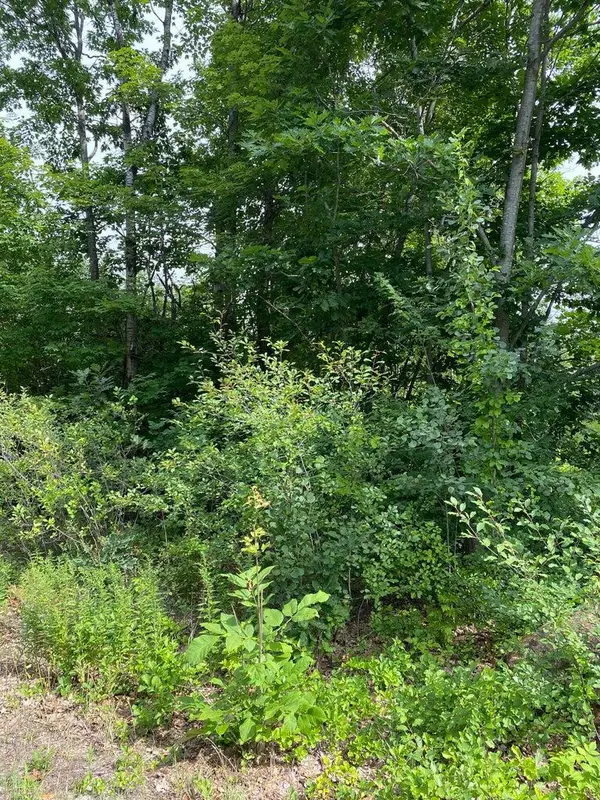 Lot 58C Heather Lane, Falmouth, ME 04105