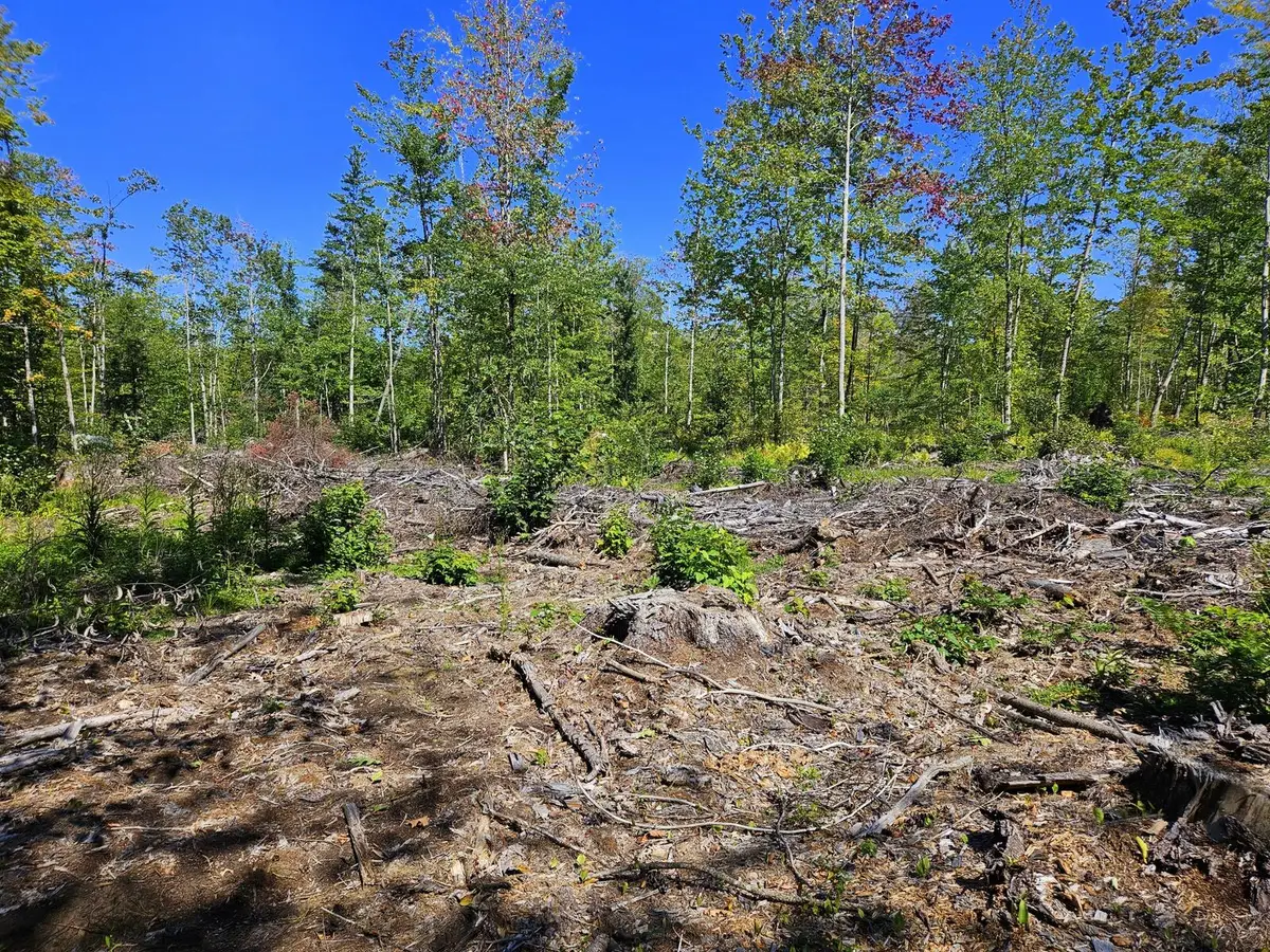 Lot 33-2 Cape Cod Hill Road, New Sharon, ME 04955 - #1