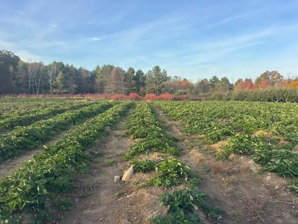 571 Main Street, Monmouth, ME 04259 - #1