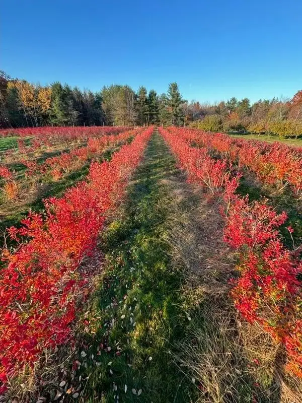 571 Main Street, Monmouth, ME 04259 - #3