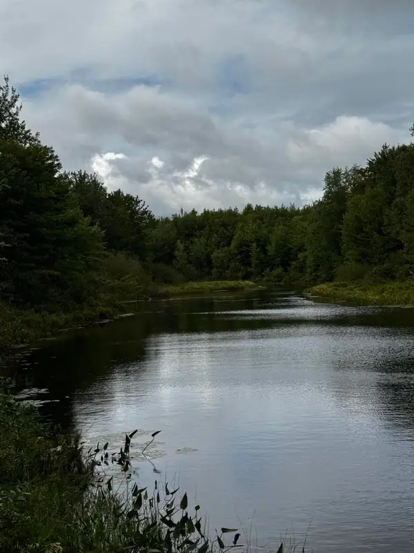 #013 Story Road, Cooper, ME 04657