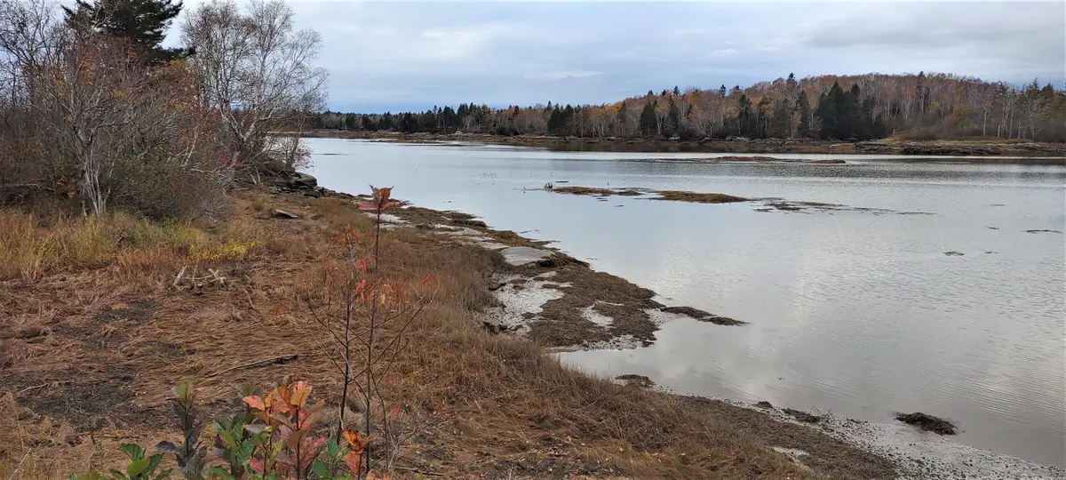 1489 Indian River Road, Jonesport, ME 04649 - #1