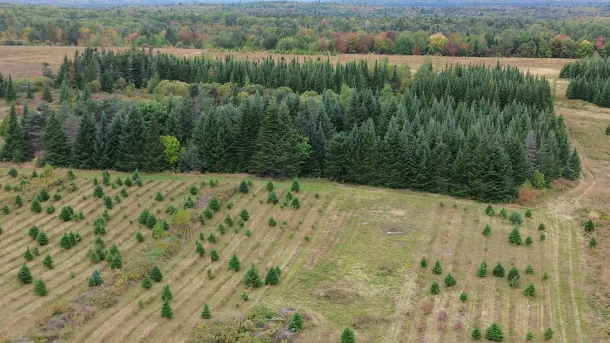 0 W Ridge Road, Littleton, ME 04730 - #1