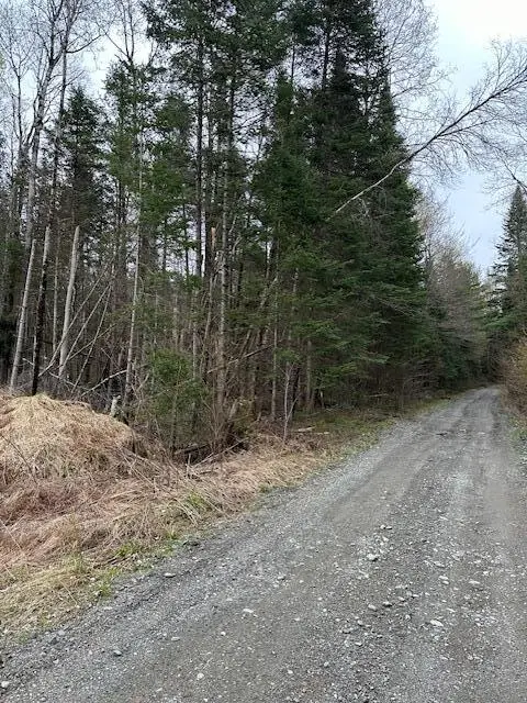 3 Brimstone Road Road, Lagrange, ME 04453