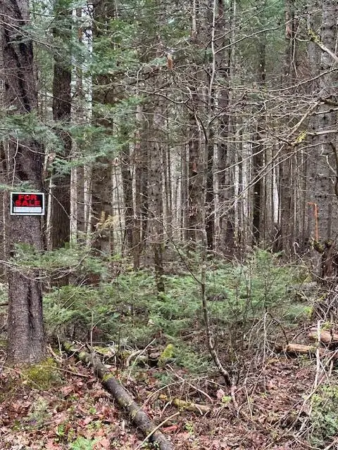 3 Brimstone Road Road, Lagrange, ME 04453 - #2