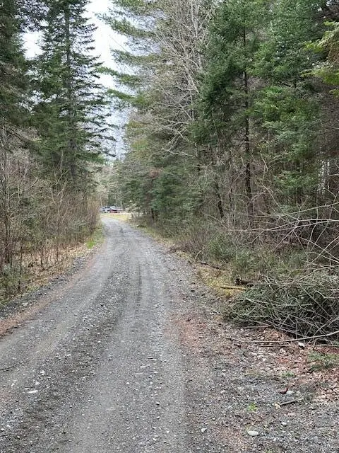 3 Brimstone Road Road, Lagrange, ME 04453 - #3