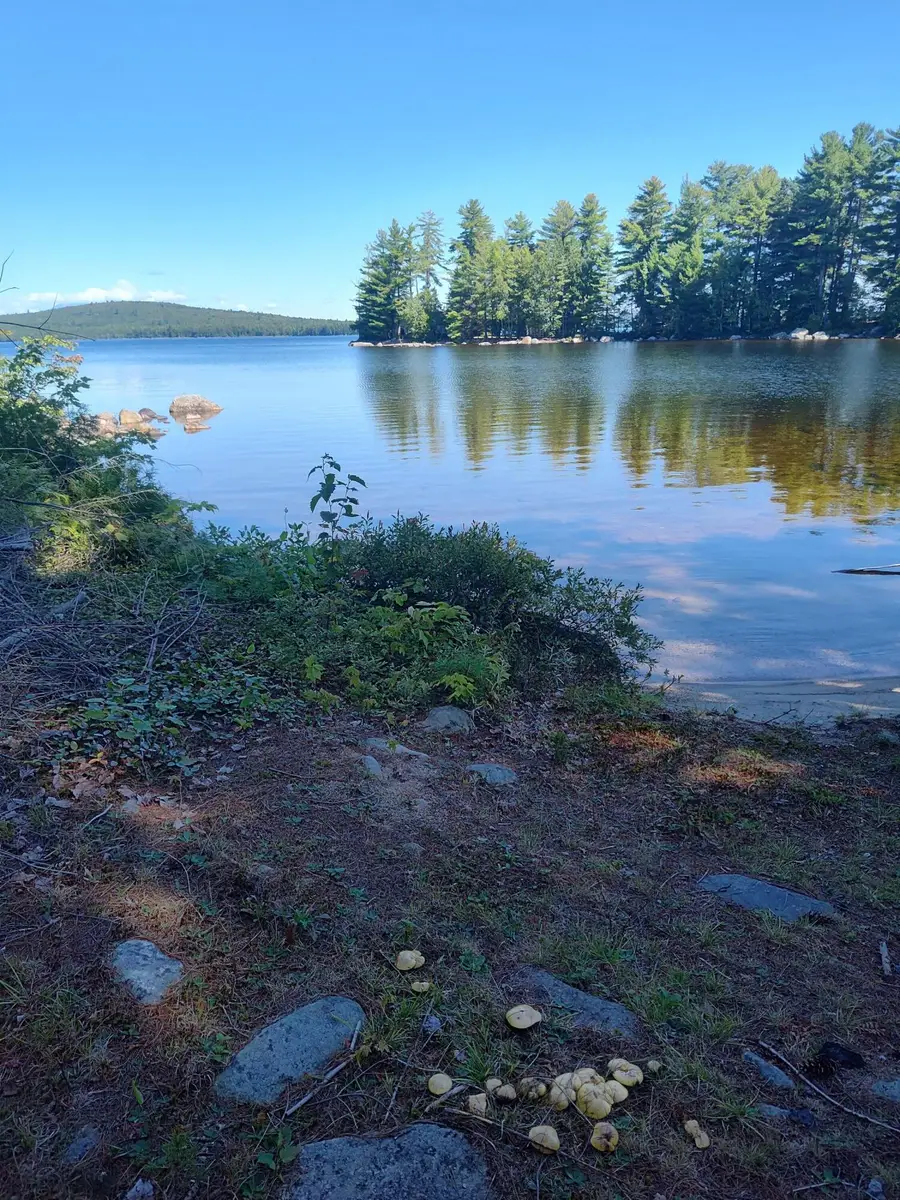 403 Turkey Tail Road, North Penobscot, ME 04462 - #3