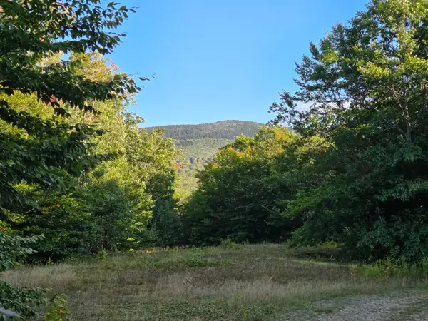 1155 Dickvale Road, Peru, ME 04290