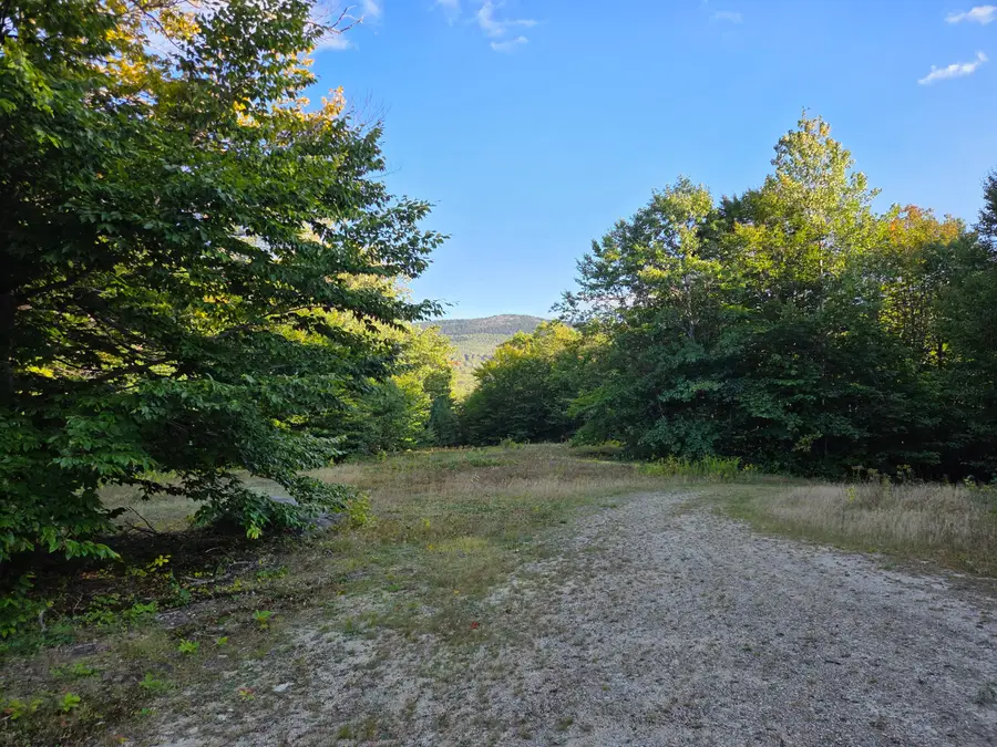 1155 Dickvale Road, Peru, ME 04290 - #2