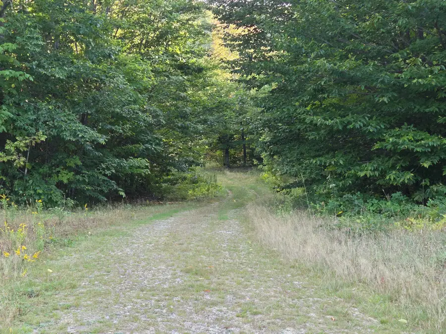 1155 Dickvale Road, Peru, ME 04290 - #3