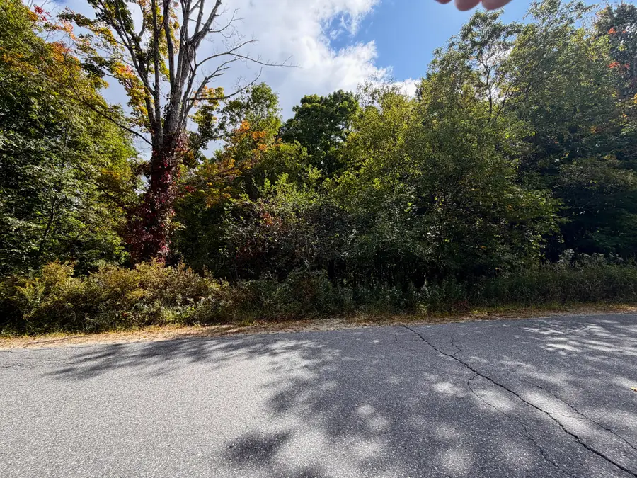 11-54 Dickvale Road, Peru, ME 04290 - #2