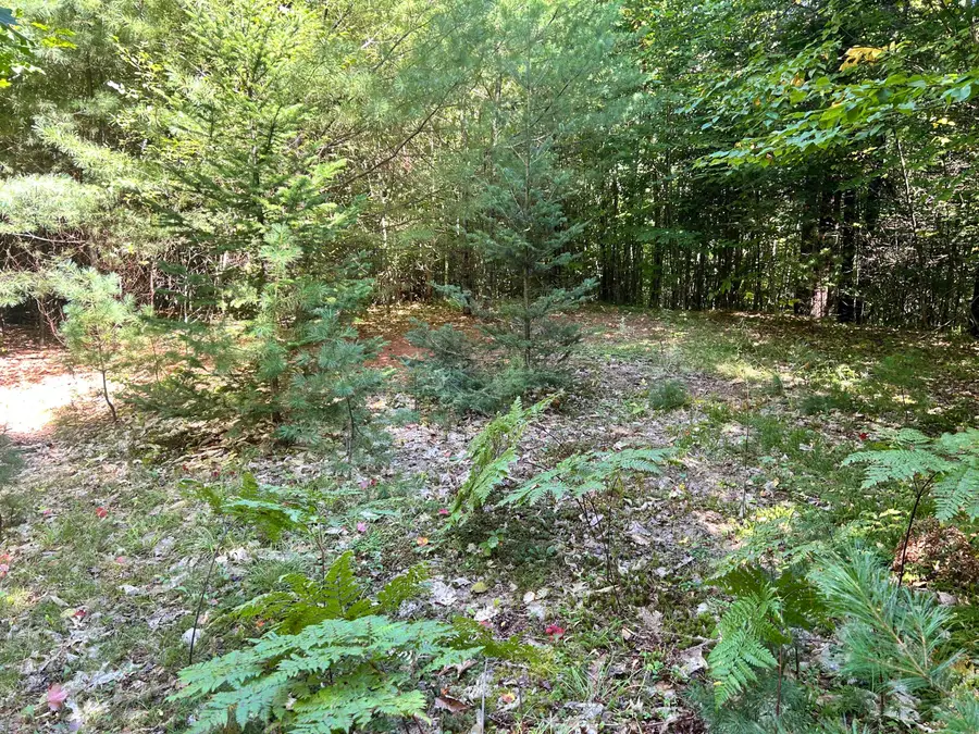 27 Lookout Mountain Lane, Greenwood, ME 04255 - #2