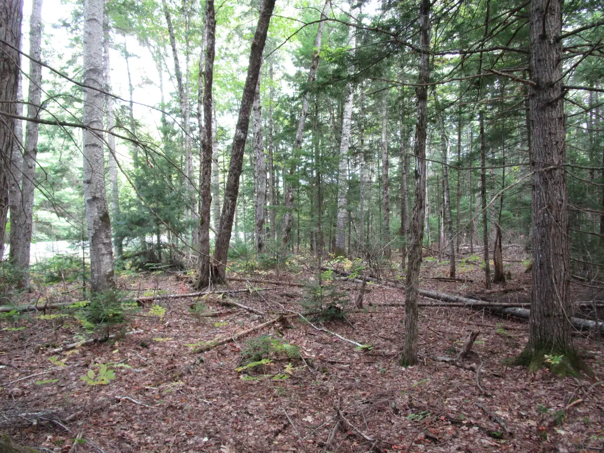 2B N Howland Road Nw, Howland, ME 04448 - #1