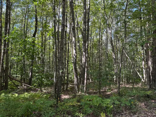 L 35-3 Jones Hill Road, Appleton, ME 04862