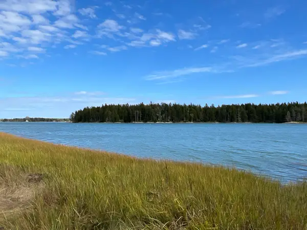Lot #3 Pyne Cove Road, Steuben, ME 04680