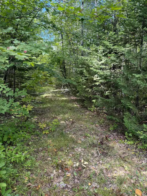 M1 L74 Lyford Road, Orneville Twp, ME 04463