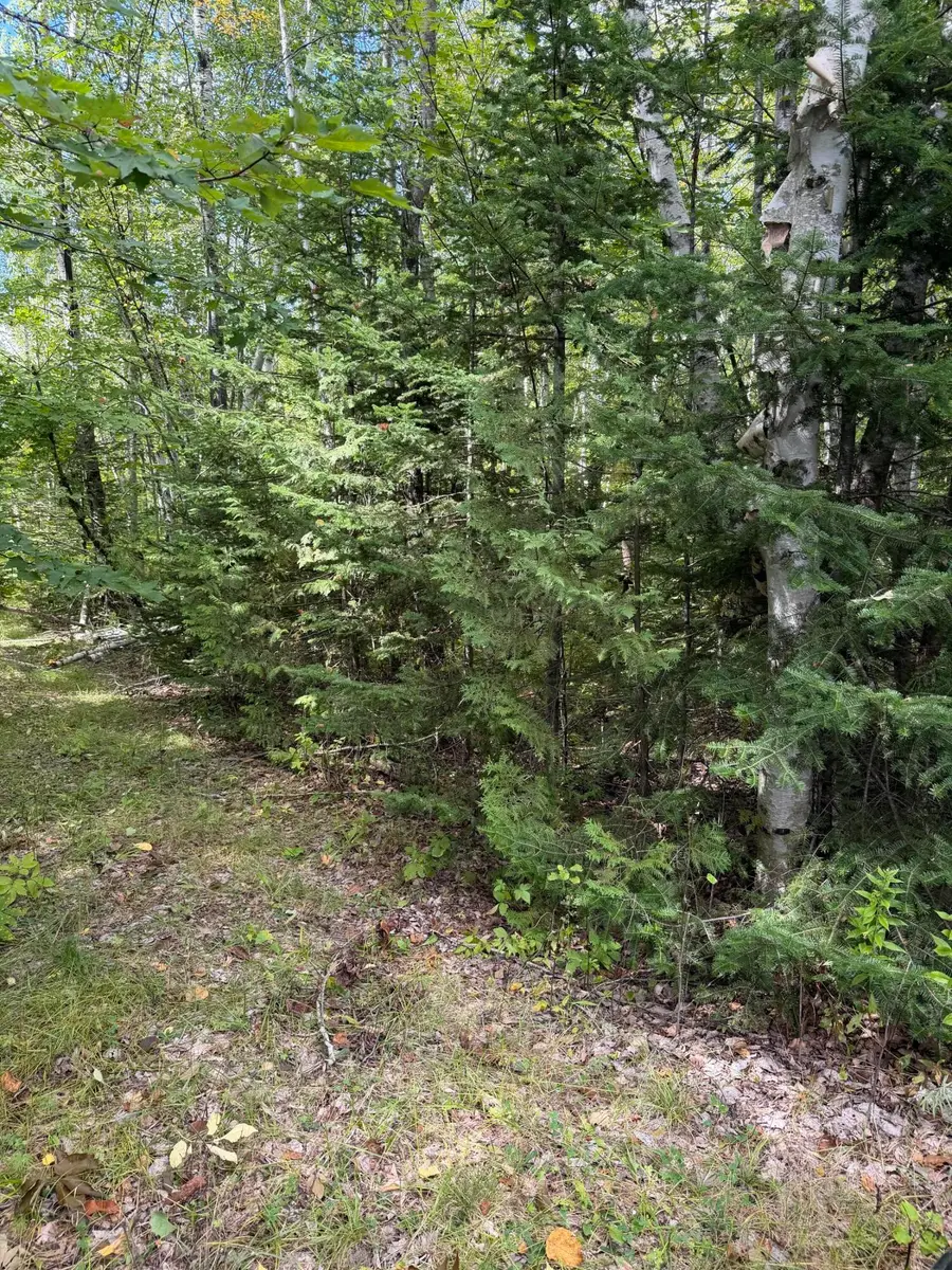 M1 L74 Lyford Road, Southeast Piscataquis, ME 04463 - #2