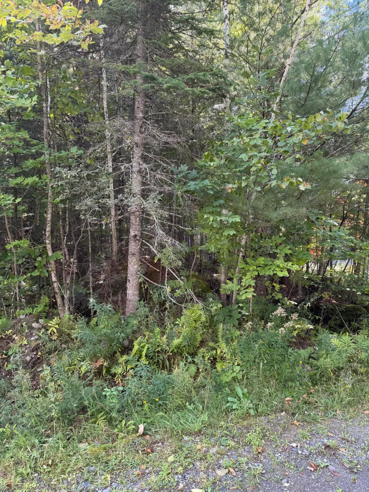 M1 L95 Sunset Ridge, Sebec, ME 04481 - #1
