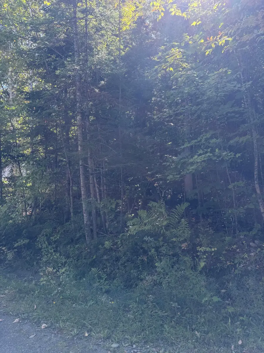M1 L95 Sunset Ridge, Sebec, ME 04481 - #3