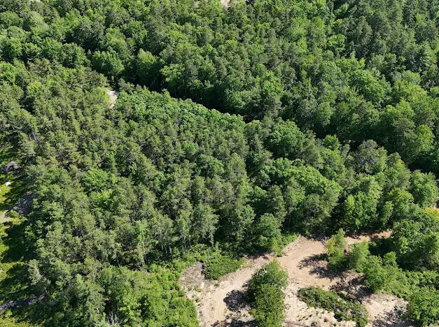 Lot 23, F1 Little Poverty Pond Road, Shapleigh, ME 04076 - #3