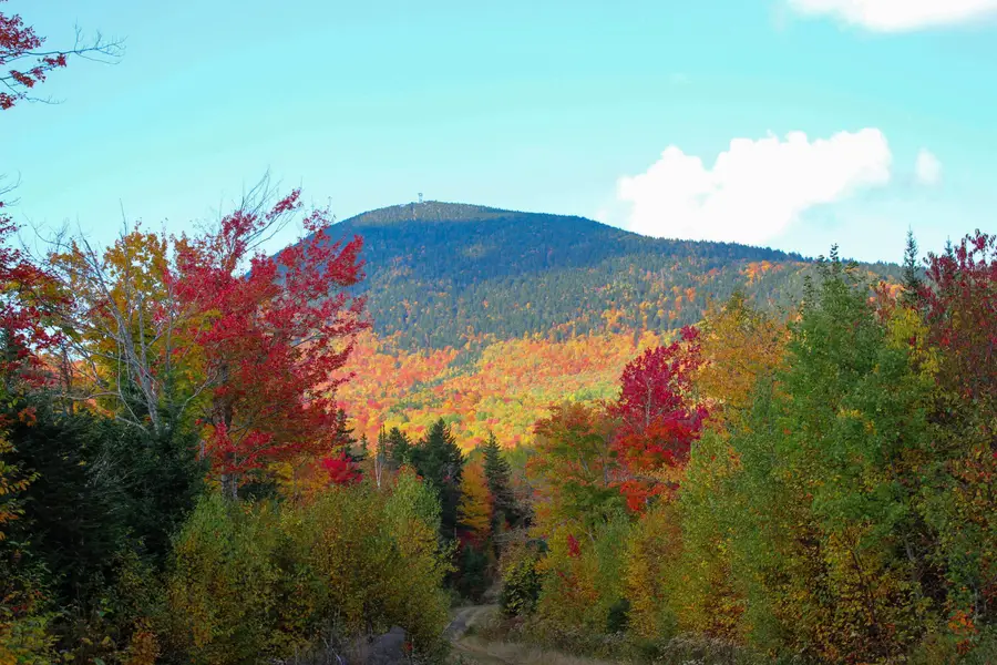 Lot C Chimney Rock, Temple, ME 04984 - #2