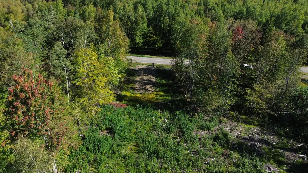 M3Lot13/2 Number Nine Road, Orient, ME 04471 - #1