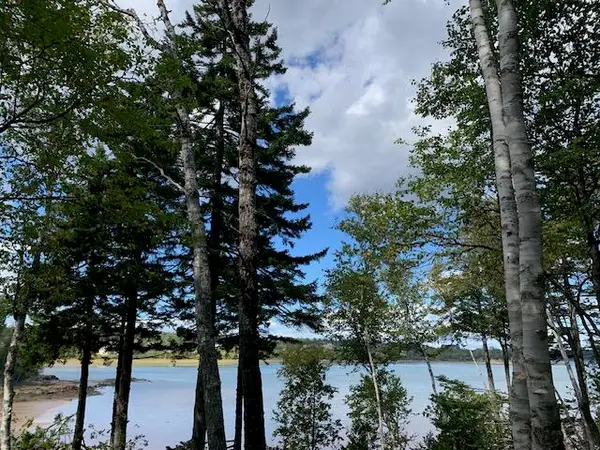 Lot 56 Off Dunns Point Way, Machiasport, ME 04655
