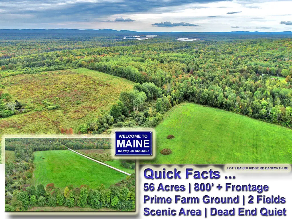 Lot 9 Baker Ridge Road, Danforth, ME 04424 - #1