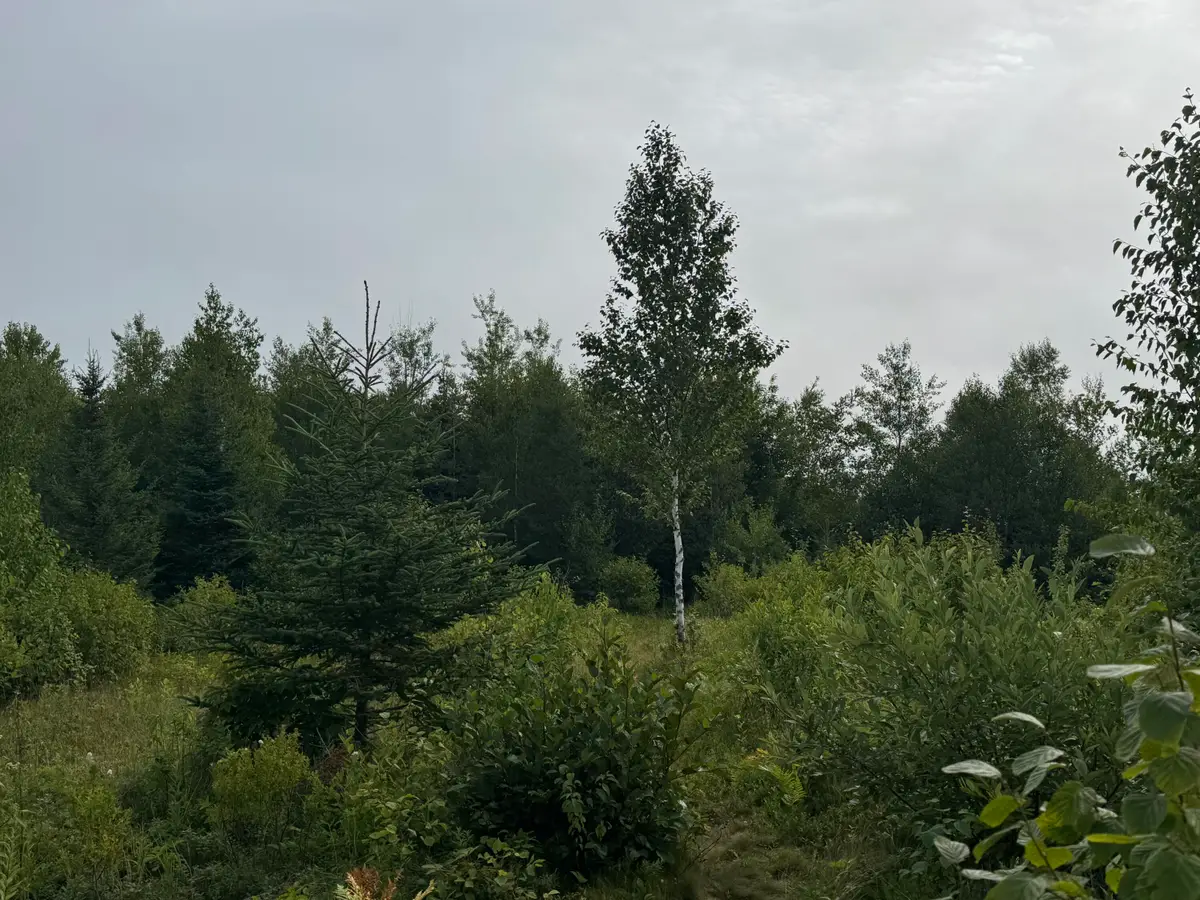 234 Wilcox Road, East Central Washington, ME 04652 - #1