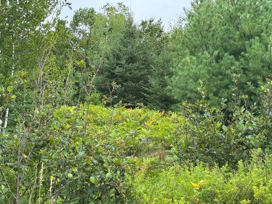 234 Wilcox Road, East Central Washington, ME 04652 - #3