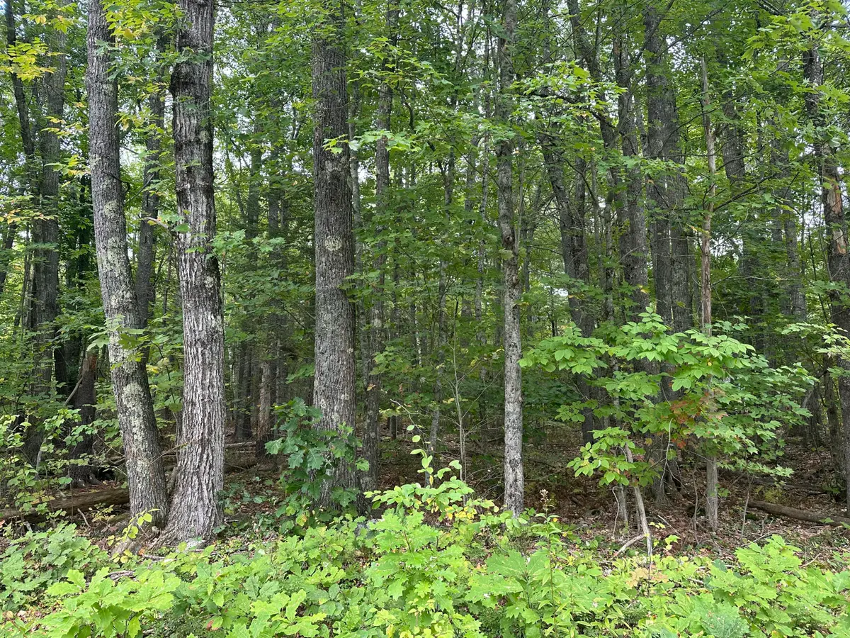 L23-1 Buzzell Hill Road, Hope, ME 04847 - #1