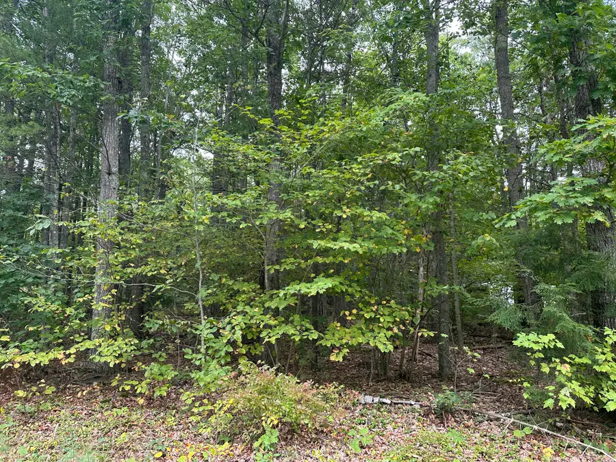 L23-1 Buzzell Hill Road, Hope, ME 04847 - #2