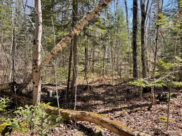 M7 L5 Bemis Road, Rangeley Plt, ME 04970