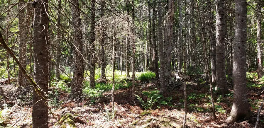 Lot#6 Old County Road, Milo, ME 04463 - #3