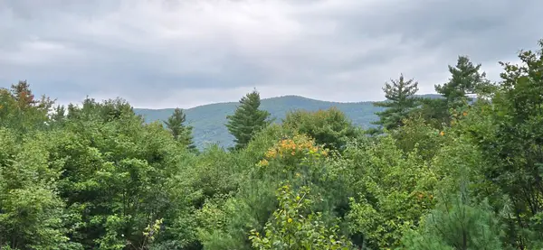 11 Mockingbird Lane, Bridgton, ME 04009