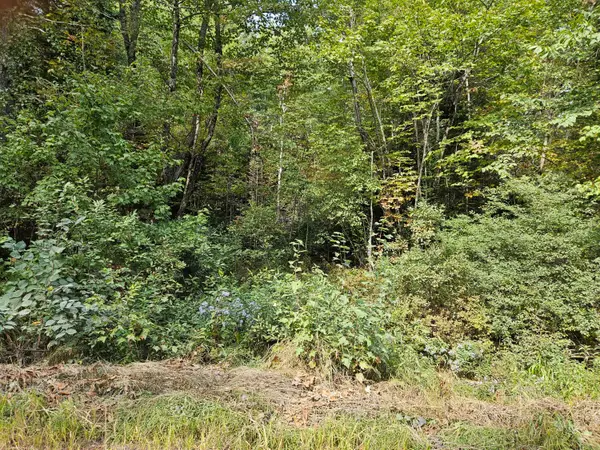 Lot 11.2 Mccorrison Road, Orneville Twp, ME 04463