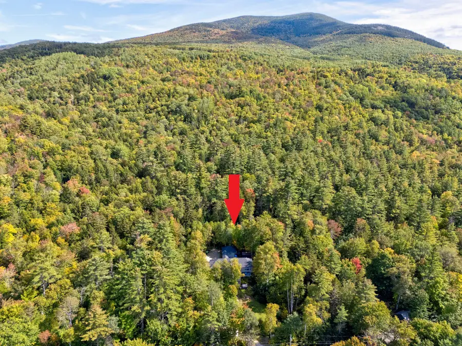 229 Branch Road, Newry, ME 04261 - #2