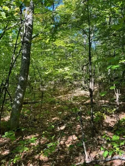0 Beech Ridge Road, Jay, ME 04239 - #2