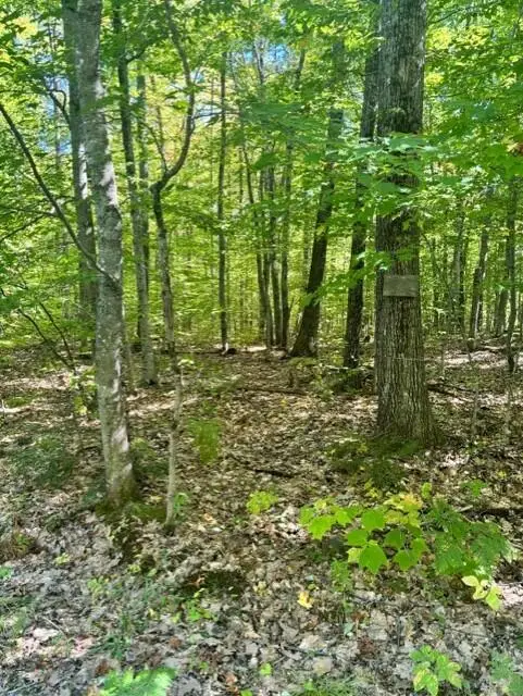 058-001 Watertower Lane, Jay, ME 04239 - #2