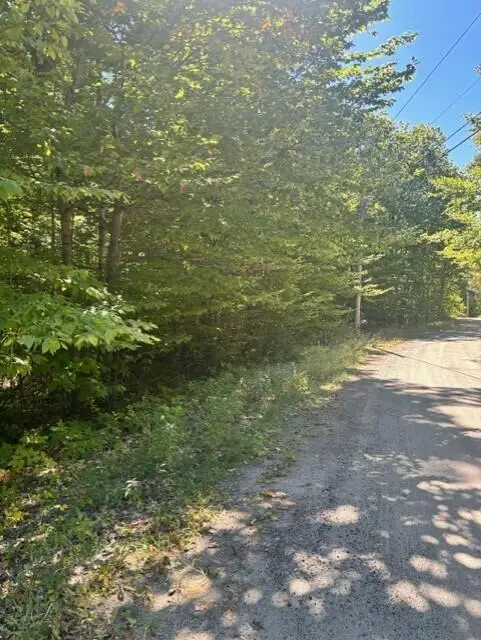 058-001 Watertower Lane, Jay, ME 04239 - #3