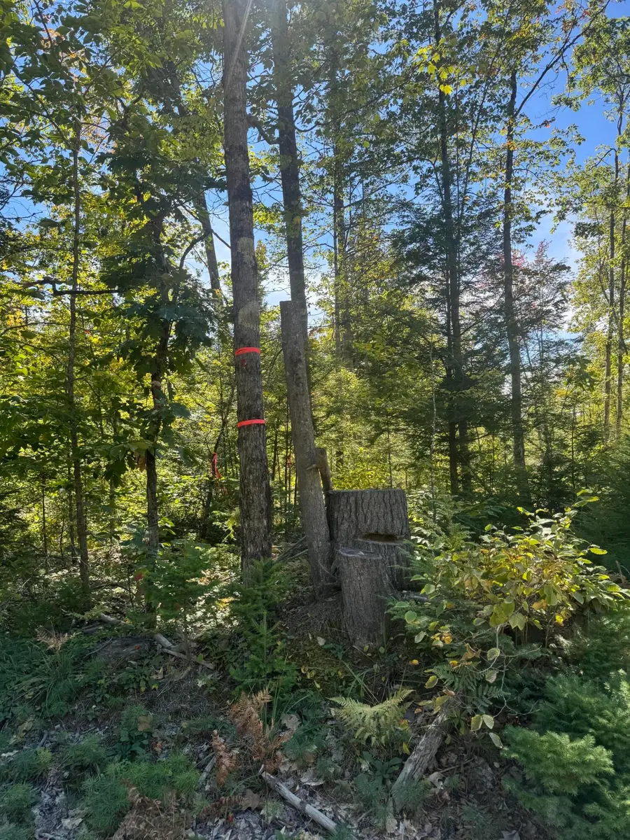 Lot 31-I Old Waterford Road, Lovell, ME 04051 - #2