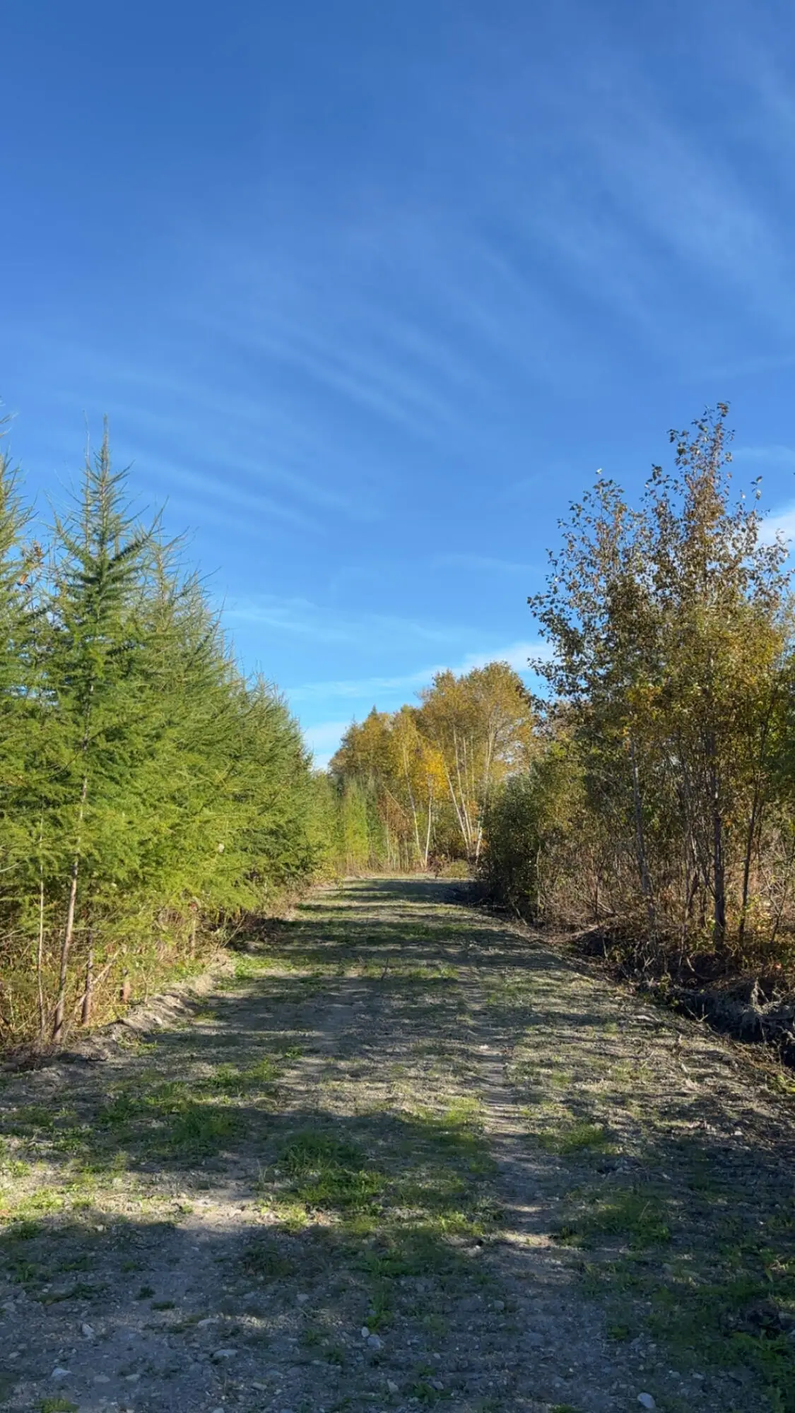 M36L25 Lot 25, Grand Isle, ME 04746 - #1