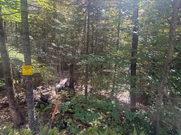 TBD Middle Road, New Portland, ME 04961