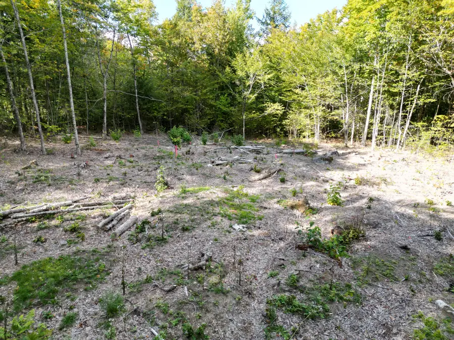 Off  Skunk Hill Road, Lee, ME 04455 - #2