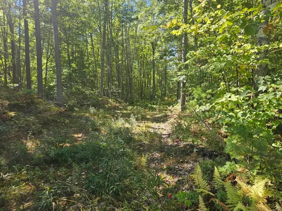 Lot 9G  Pequawket Trail, Standish, ME 04084 - #3