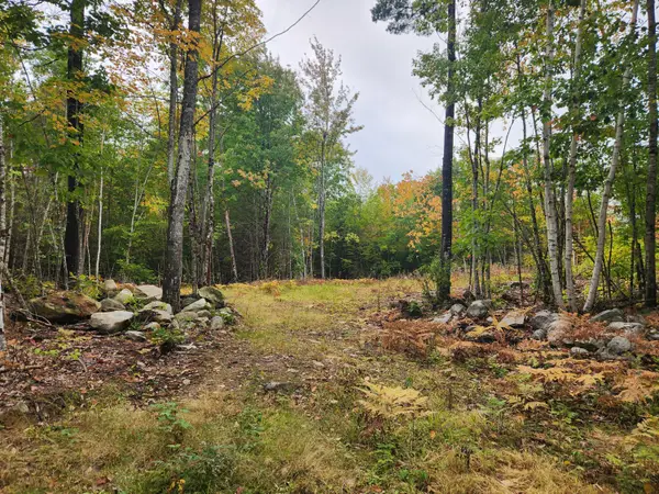 Lot 6B Willy's Way, Buckfield, ME 04220
