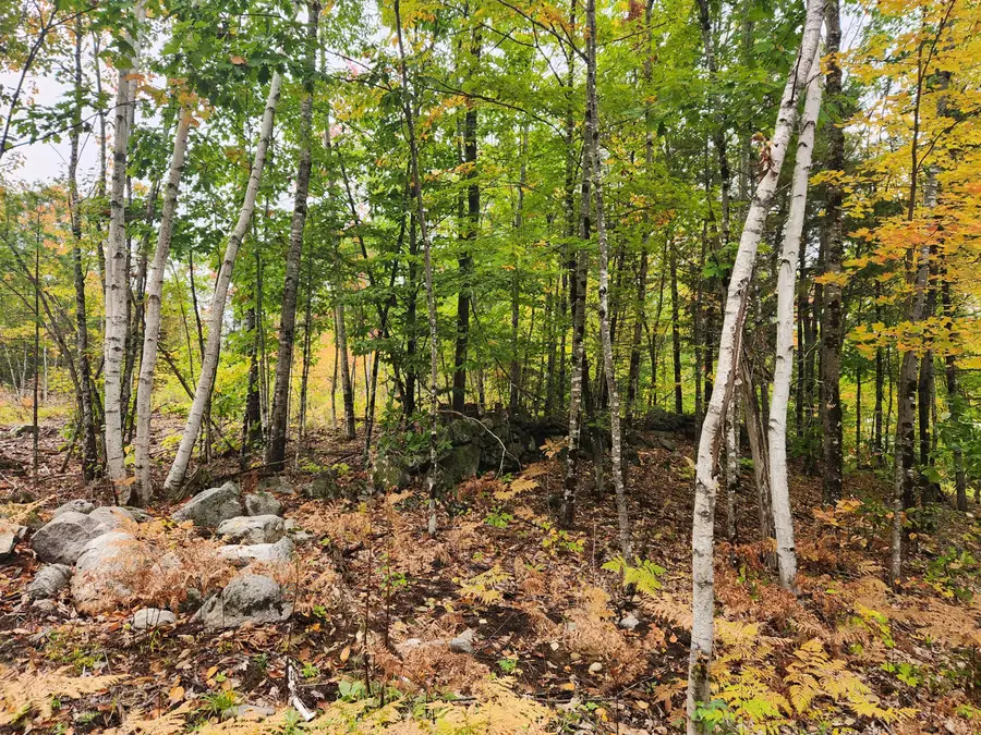 Lot 6B Willy's Way, Buckfield, ME 04220 - #2