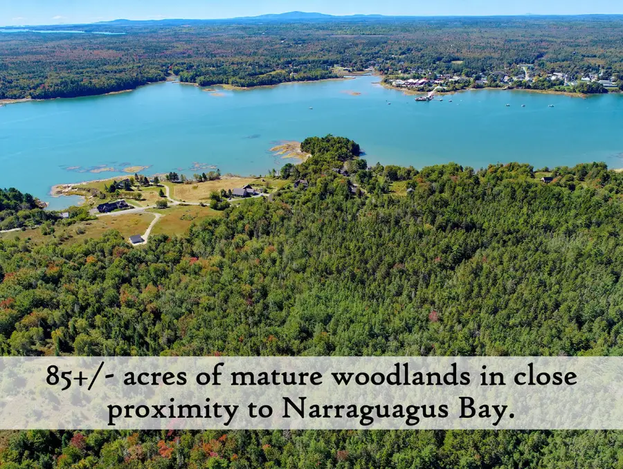 229 & 230 Ficketts Point Road, Milbridge, ME 04658 - #2