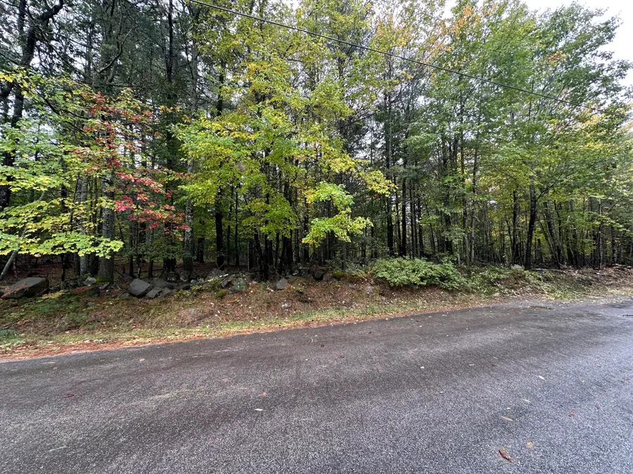Lot 61.3 Sand Pond Road, Limington, ME 04049 - #2